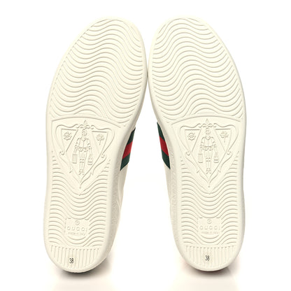 Gucci Calfskin Ayers Bee Embroidered Womens Ace Sneakers 38 White Green 6 of 9