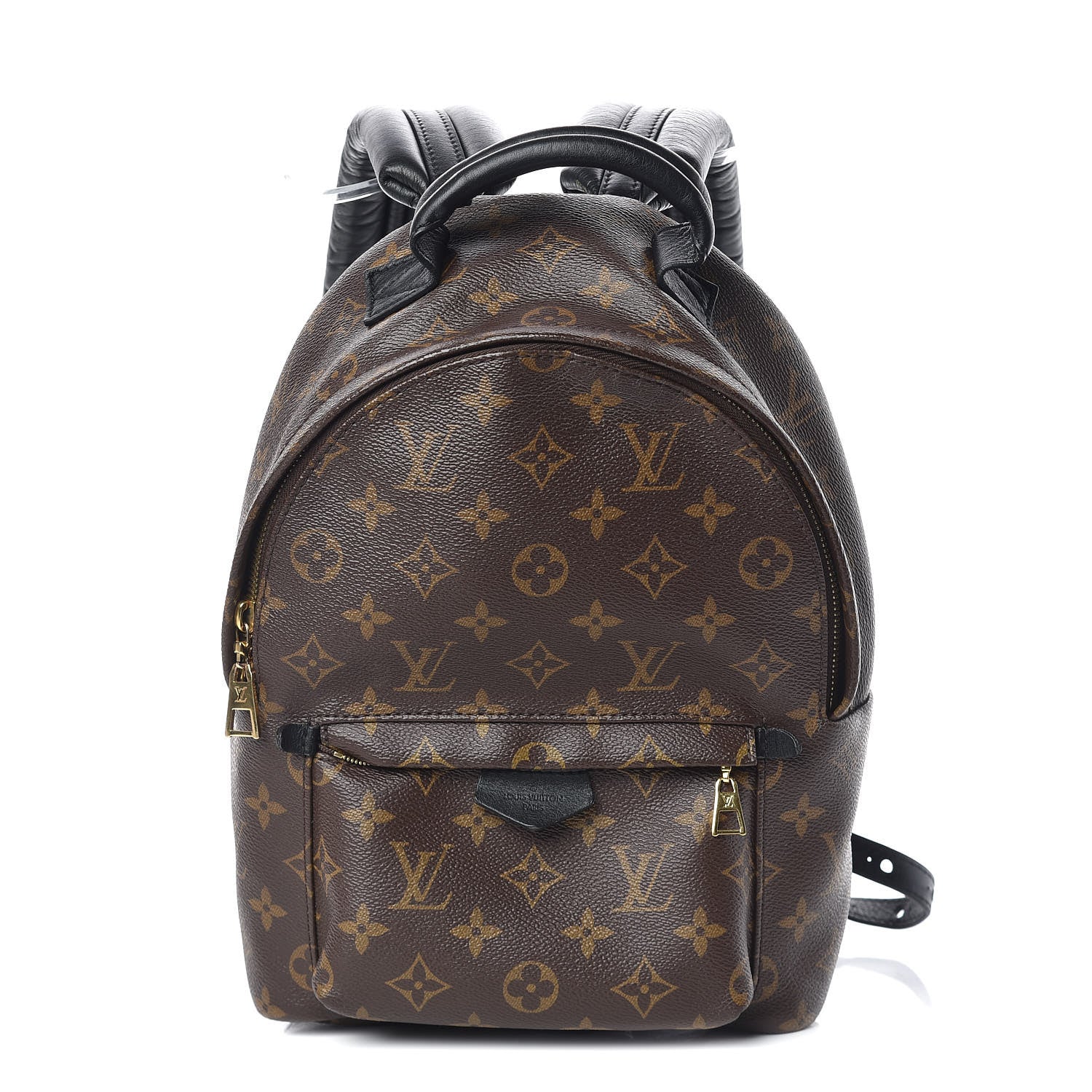 Louis Vuitton Monogram Palm Springs Backpack PM 1 of 8