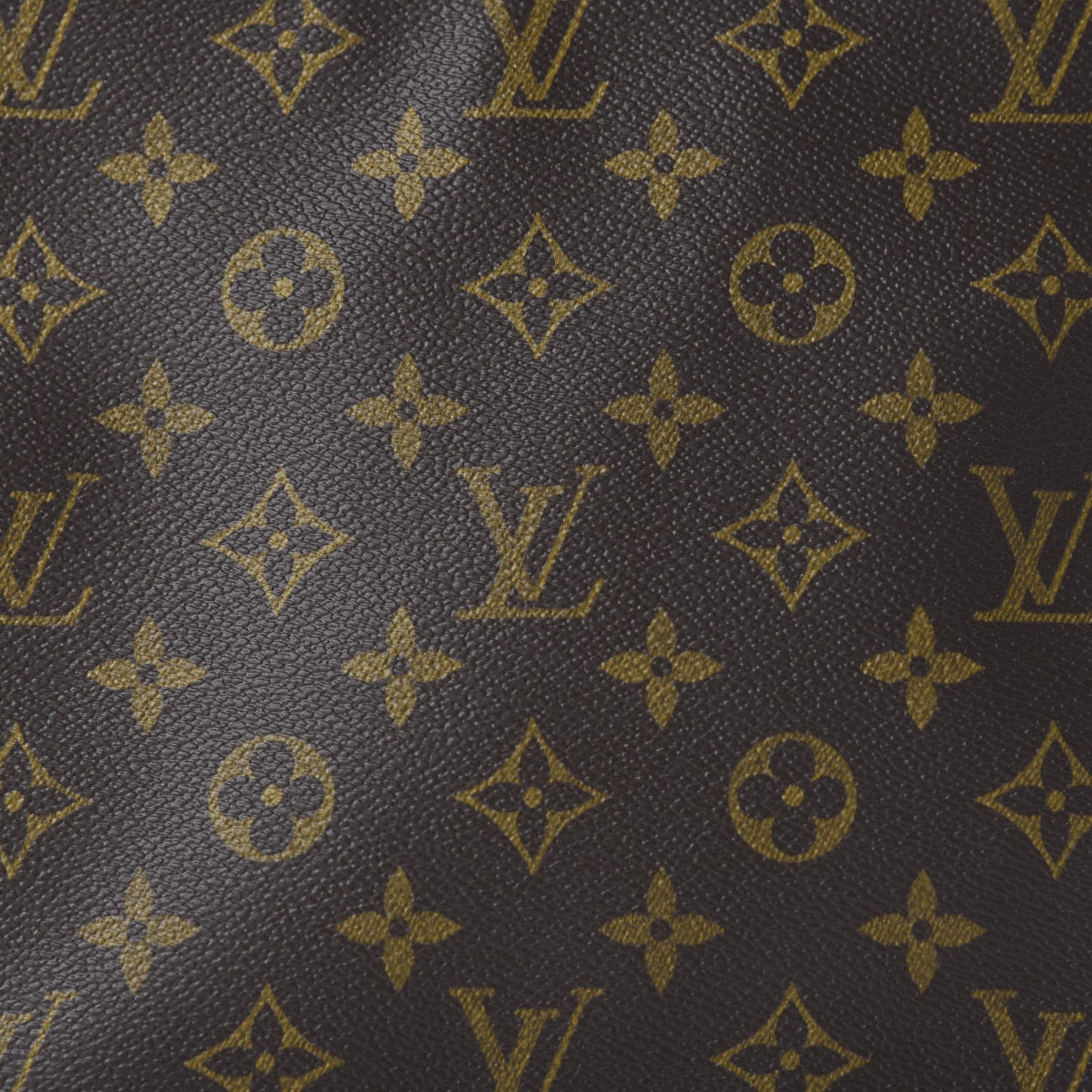 Monogram Looping MM