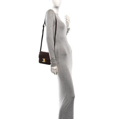 Celine Watersnake Teen Triomphe Brown 2 of 10
