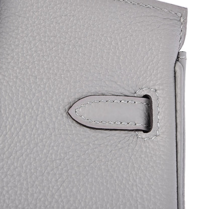 Hermes Togo Birkin 25 Gris Mouette 19 of 35