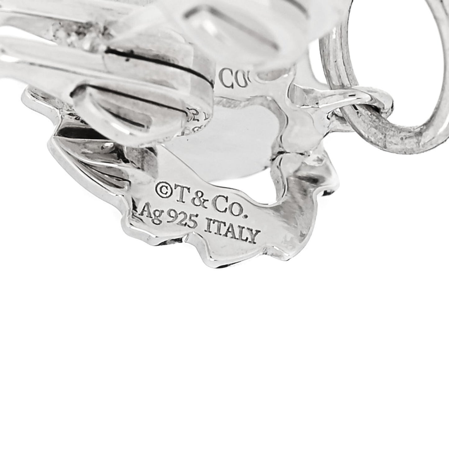Sterling Silver Save the Wild Lion Charm