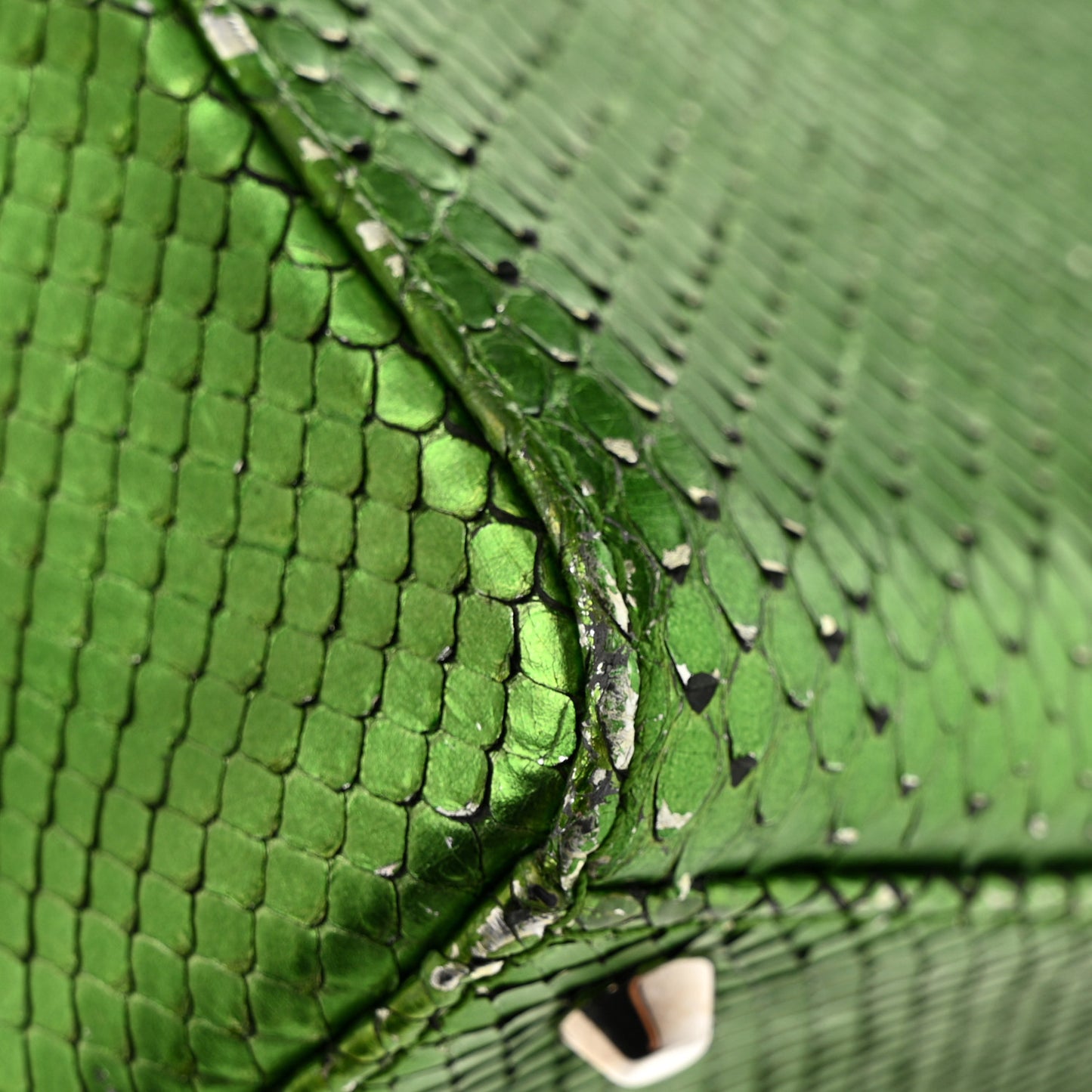 Metallic Snakeskin Mini Lady Dior Green