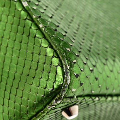 Christian Dior Metallic Snakeskin Mini Lady Dior Green 19 of 20