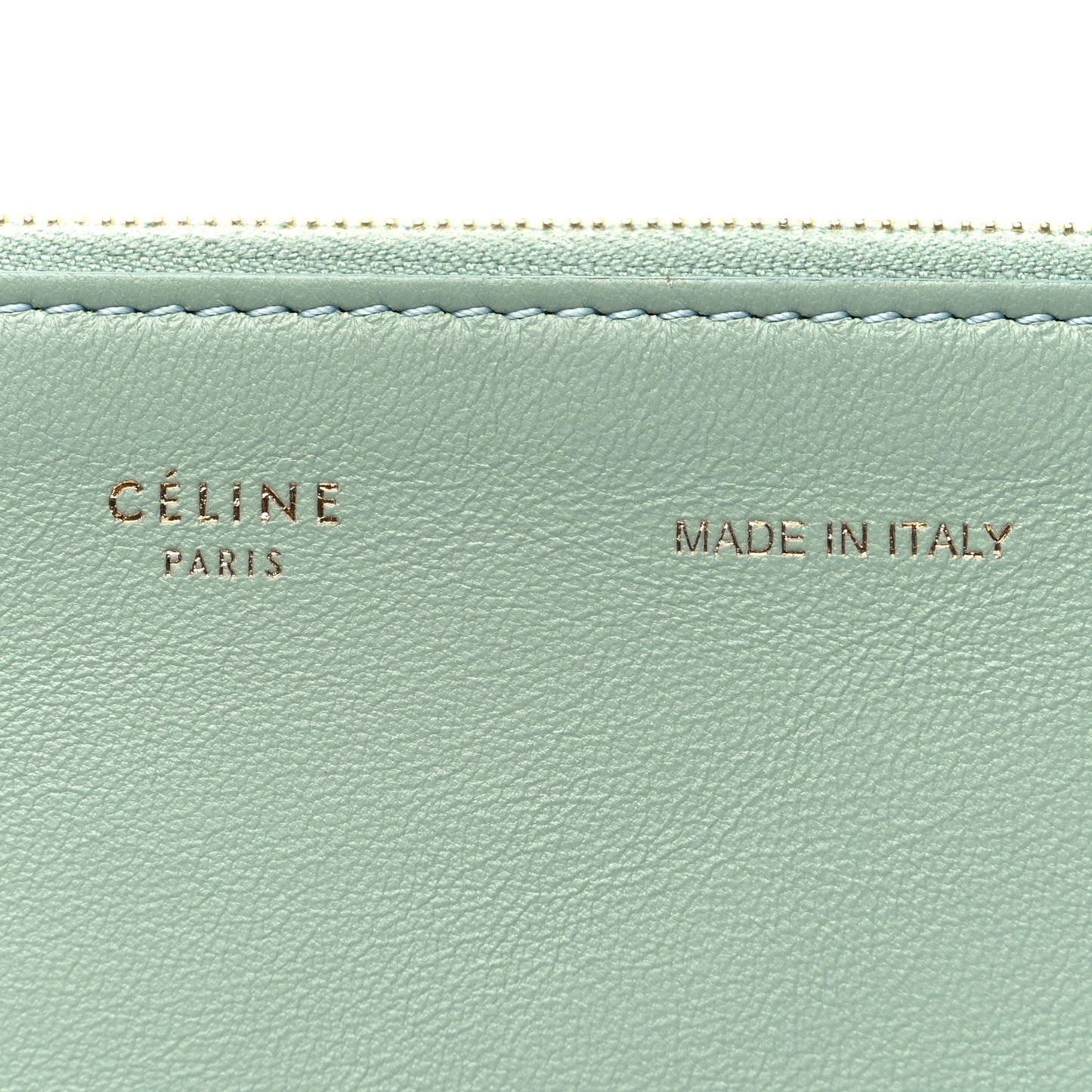Cloudy Lambskin Solo Zip Pouch Celadon