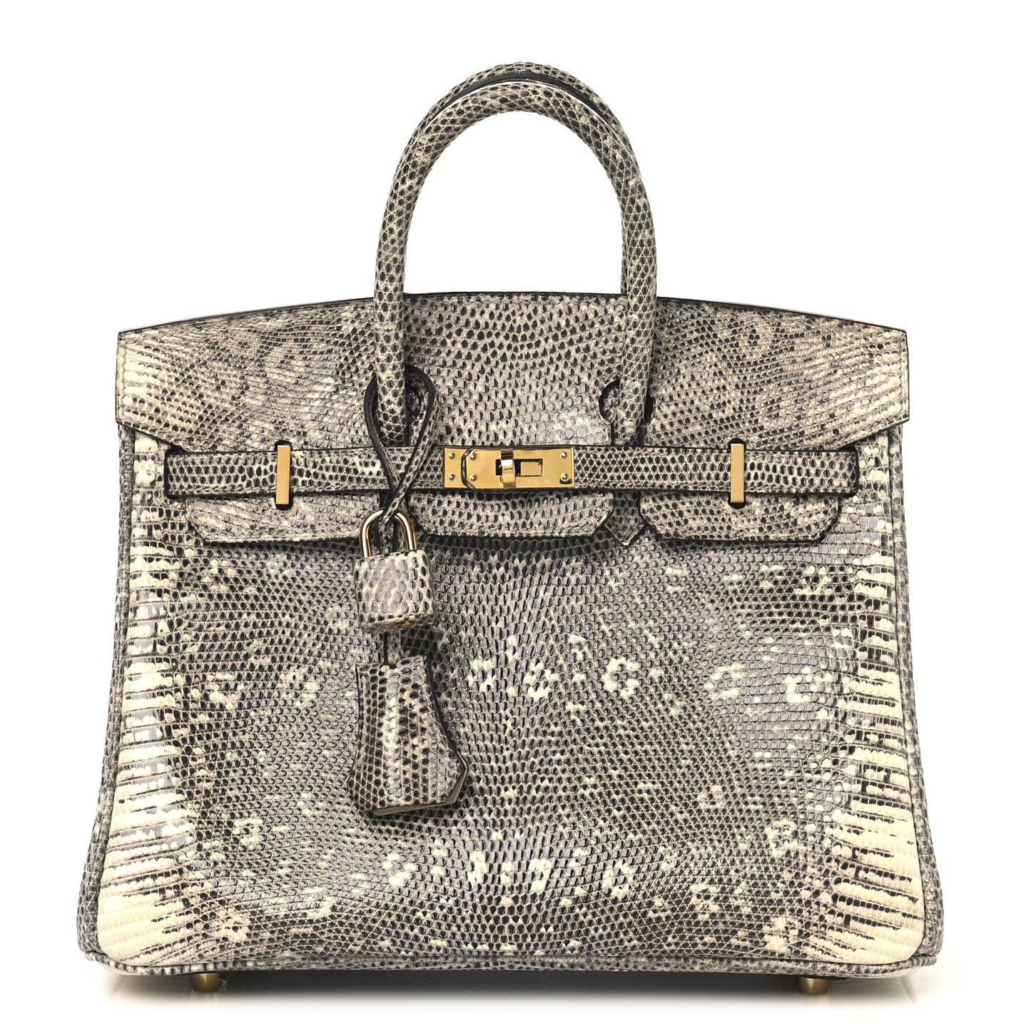 Lizard Birkin 25 Ombre
