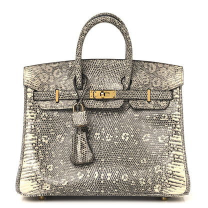 Hermes Lizard Birkin 25 Ombre 1 of 13