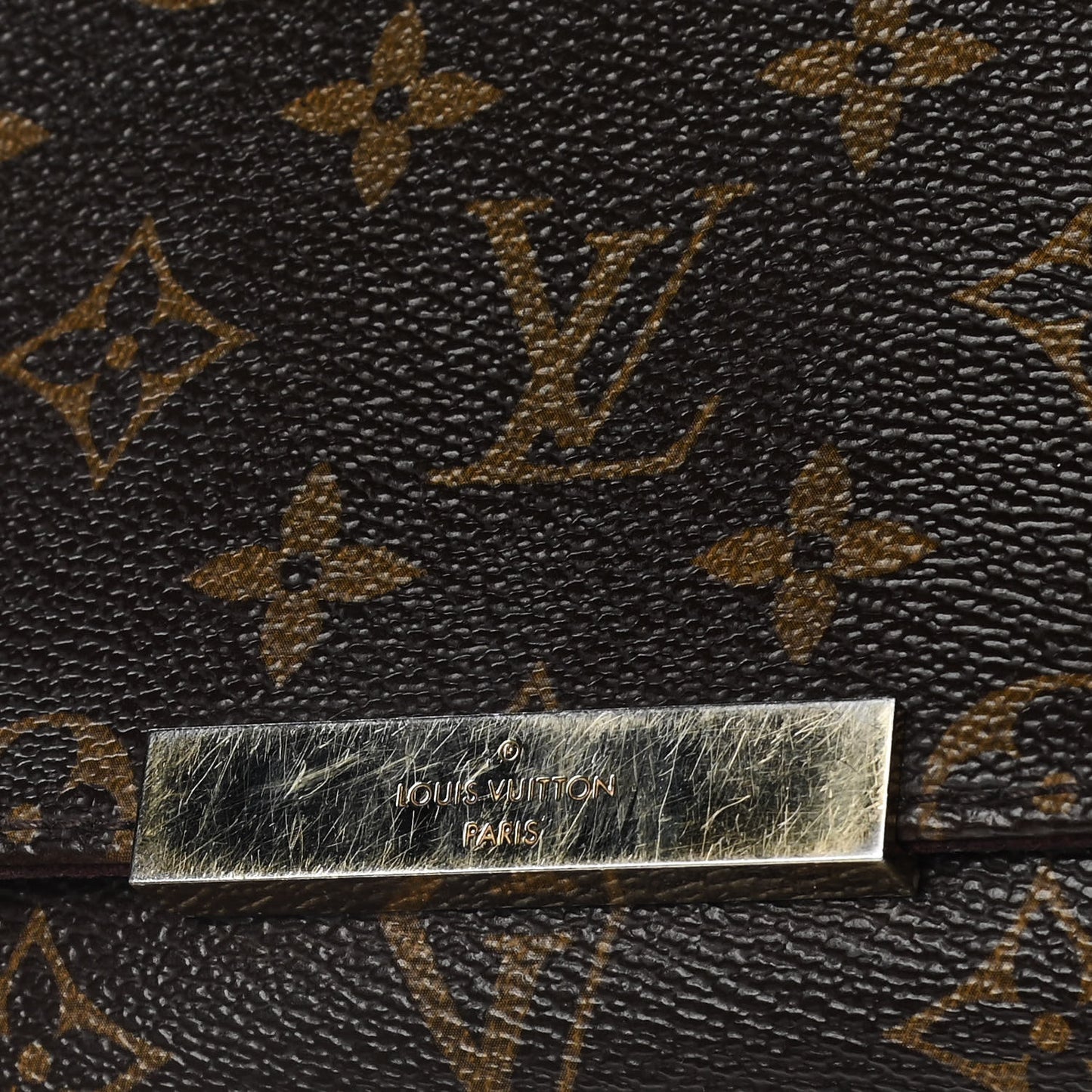Monogram Favorite PM