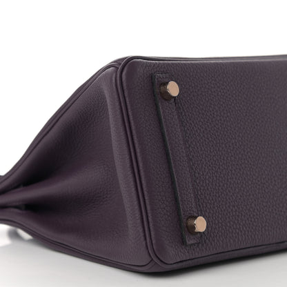 Hermes Togo Matte Alligator Birkin Touch 25 Raisin 9 of 11