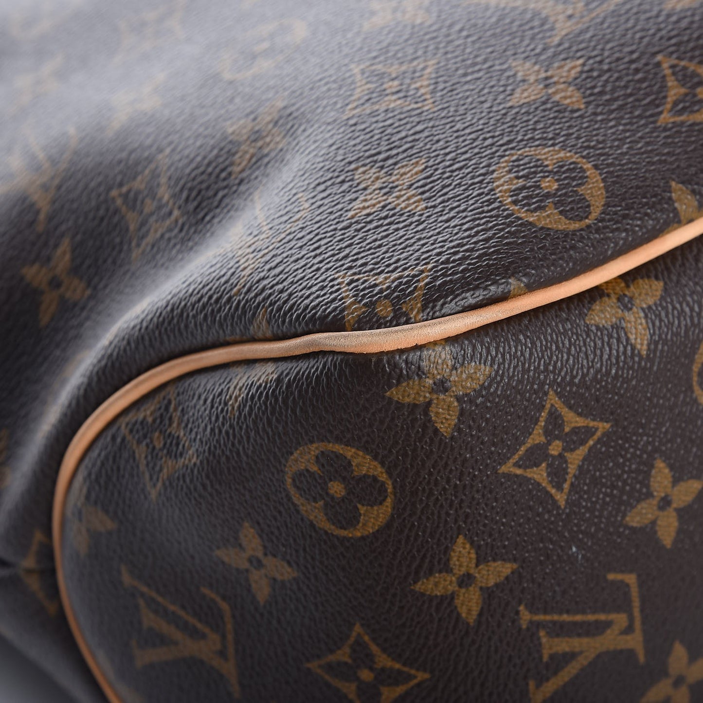 Monogram Delightful PM