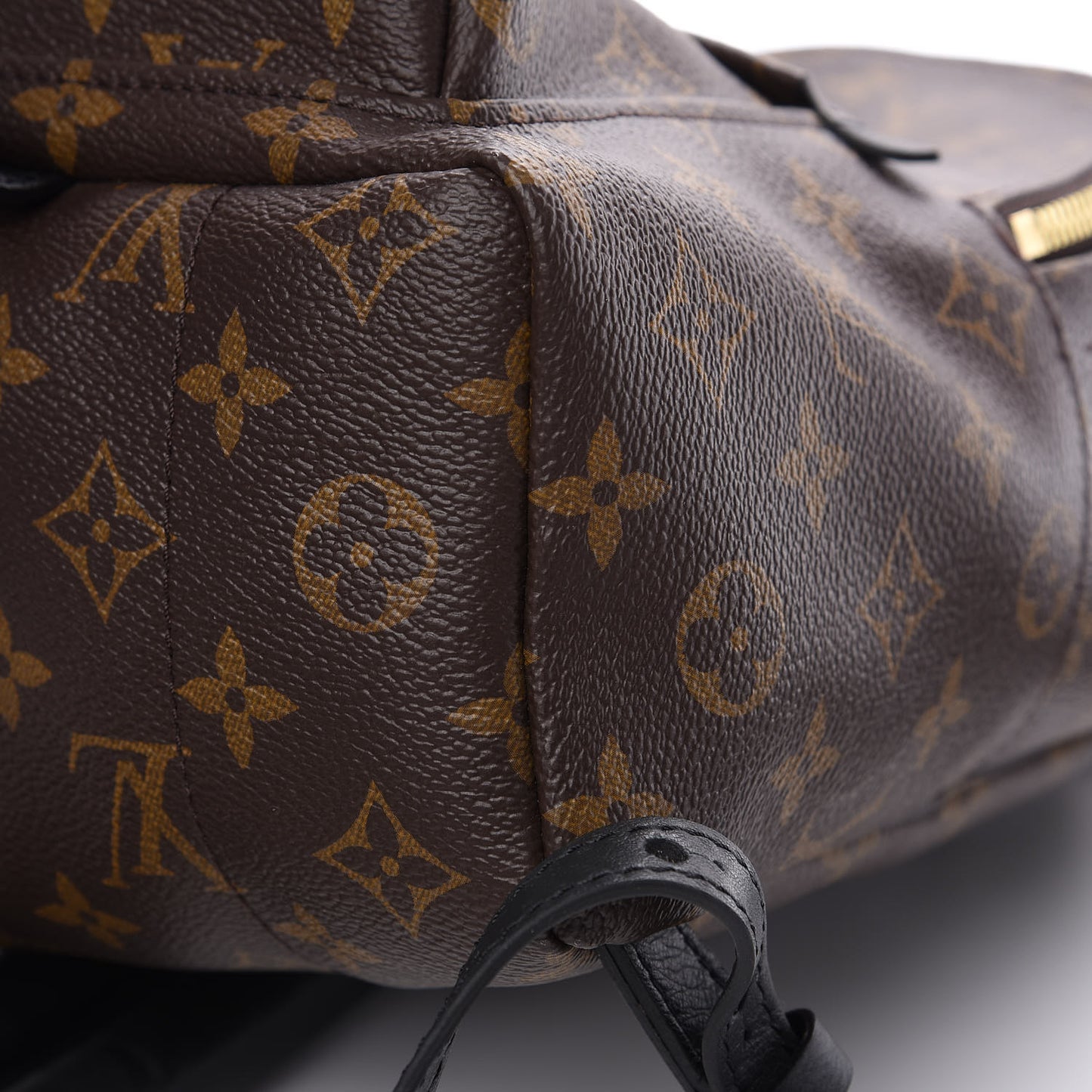 Monogram Palm Springs Backpack PM