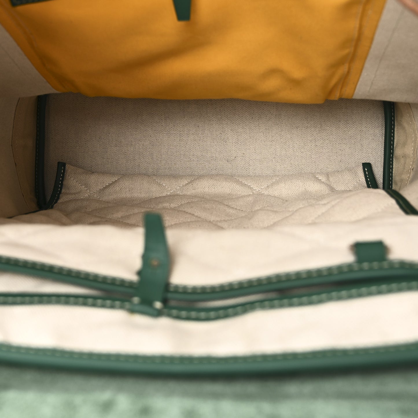 Goyardine Calfskin Alpin MM Backpack Green