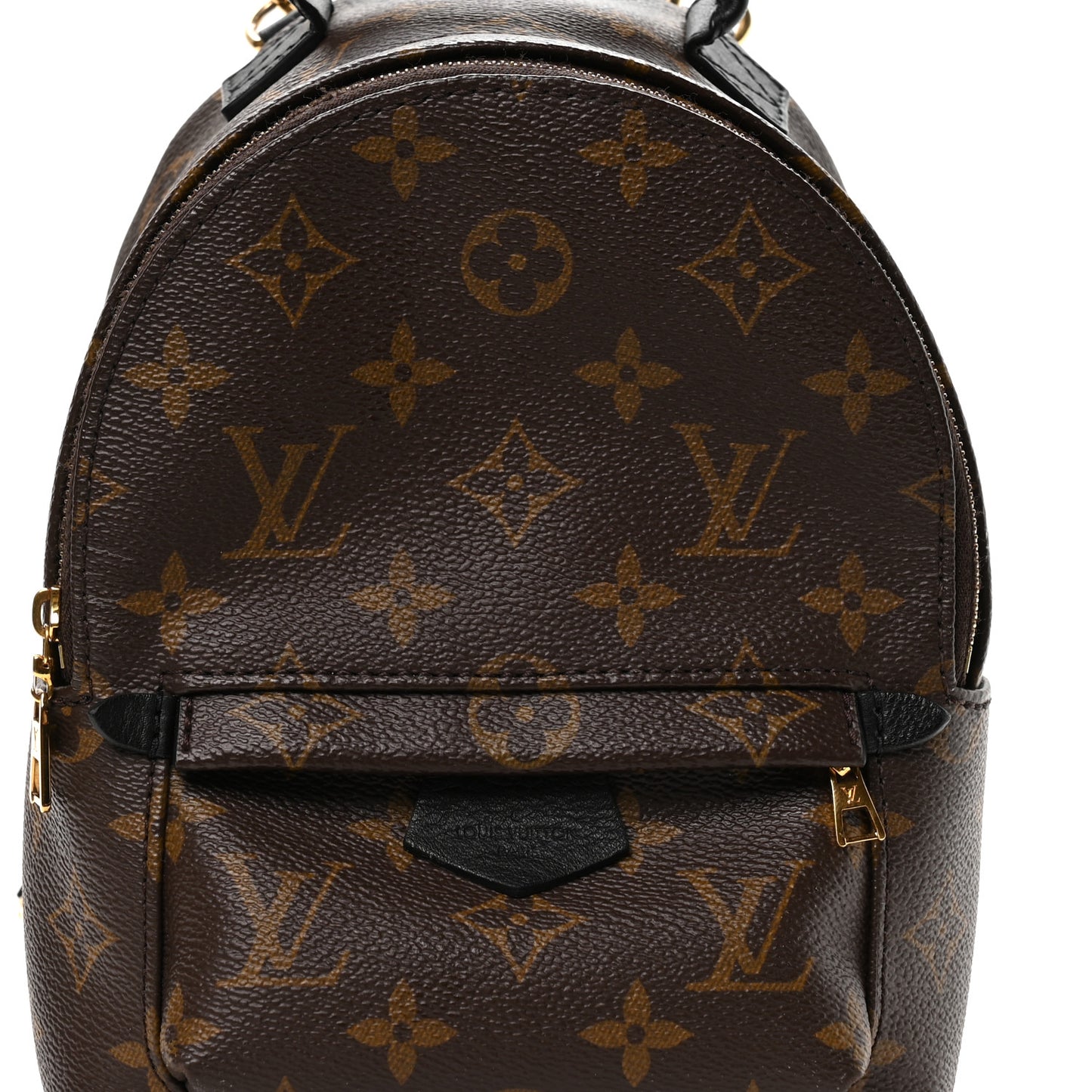 Monogram Palm Springs Backpack Mini