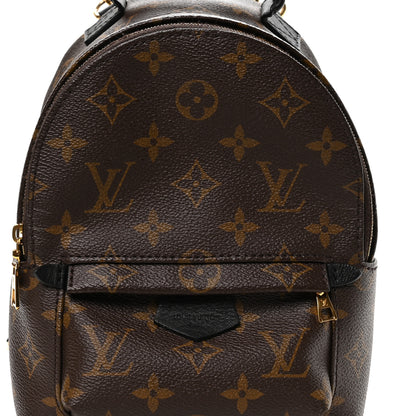 Louis Vuitton Monogram Palm Springs Backpack Mini 7 of 10