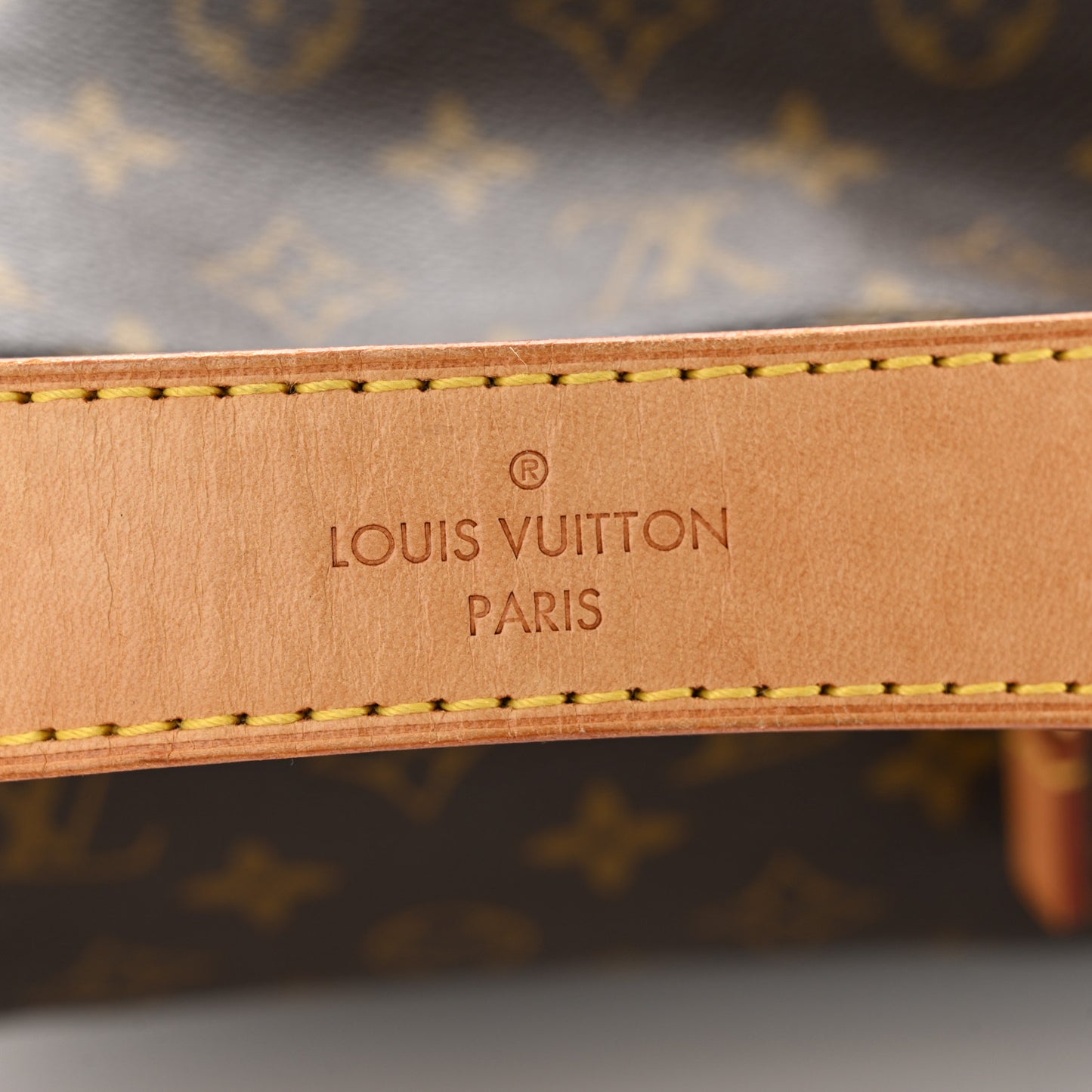 Monogram Sully PM