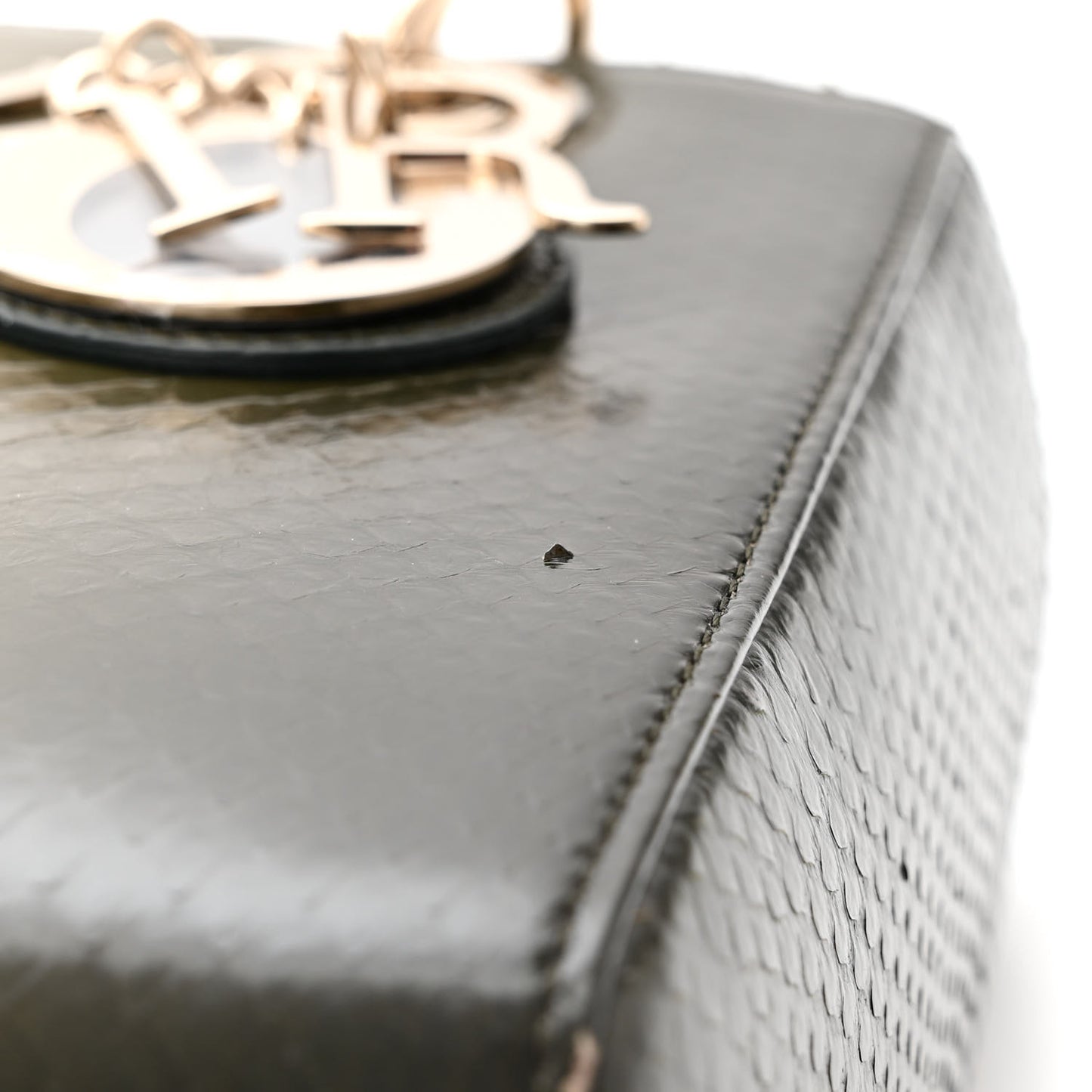 Snakeskin Medium Lady Dior Green
