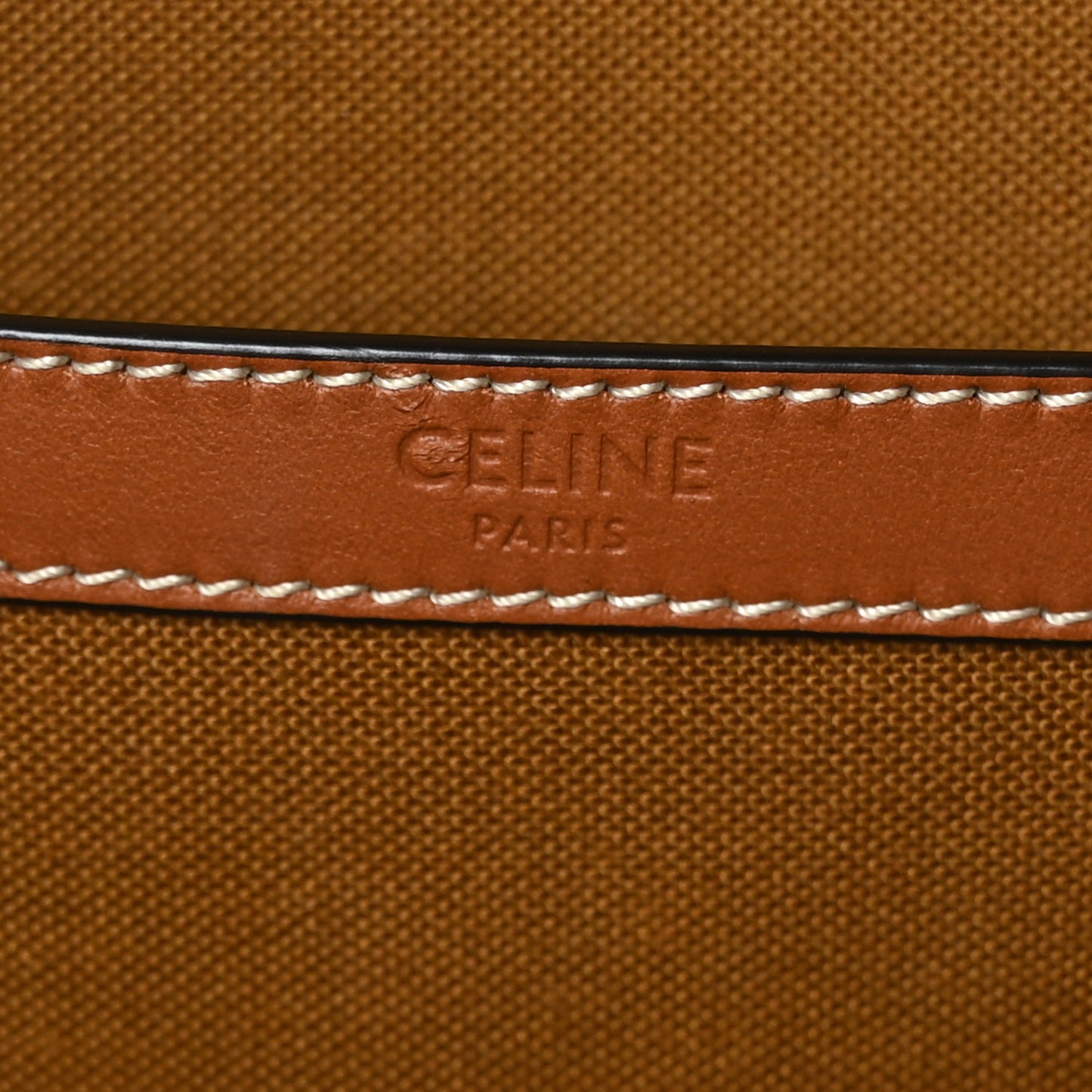 Triomphe Canvas Calfskin Medium Cabas Bag Tan