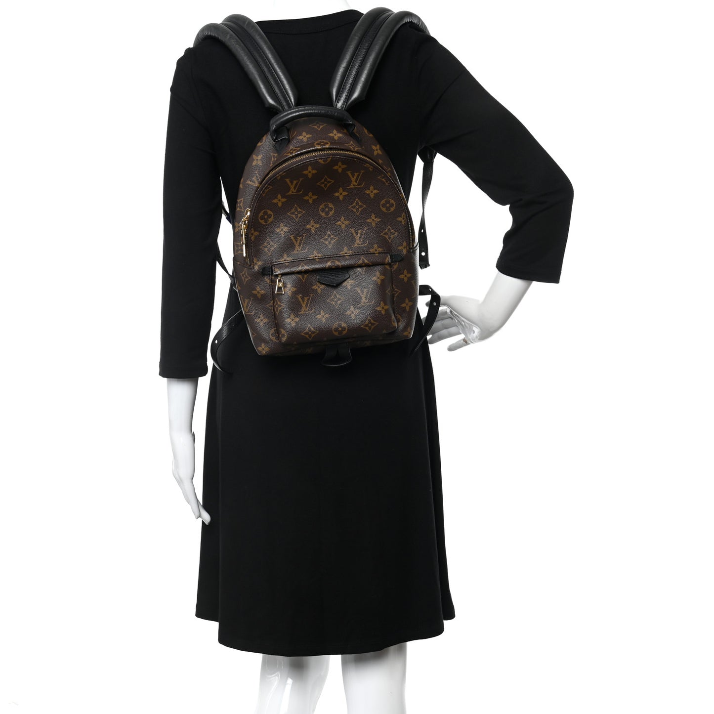 Monogram Palm Springs Backpack PM