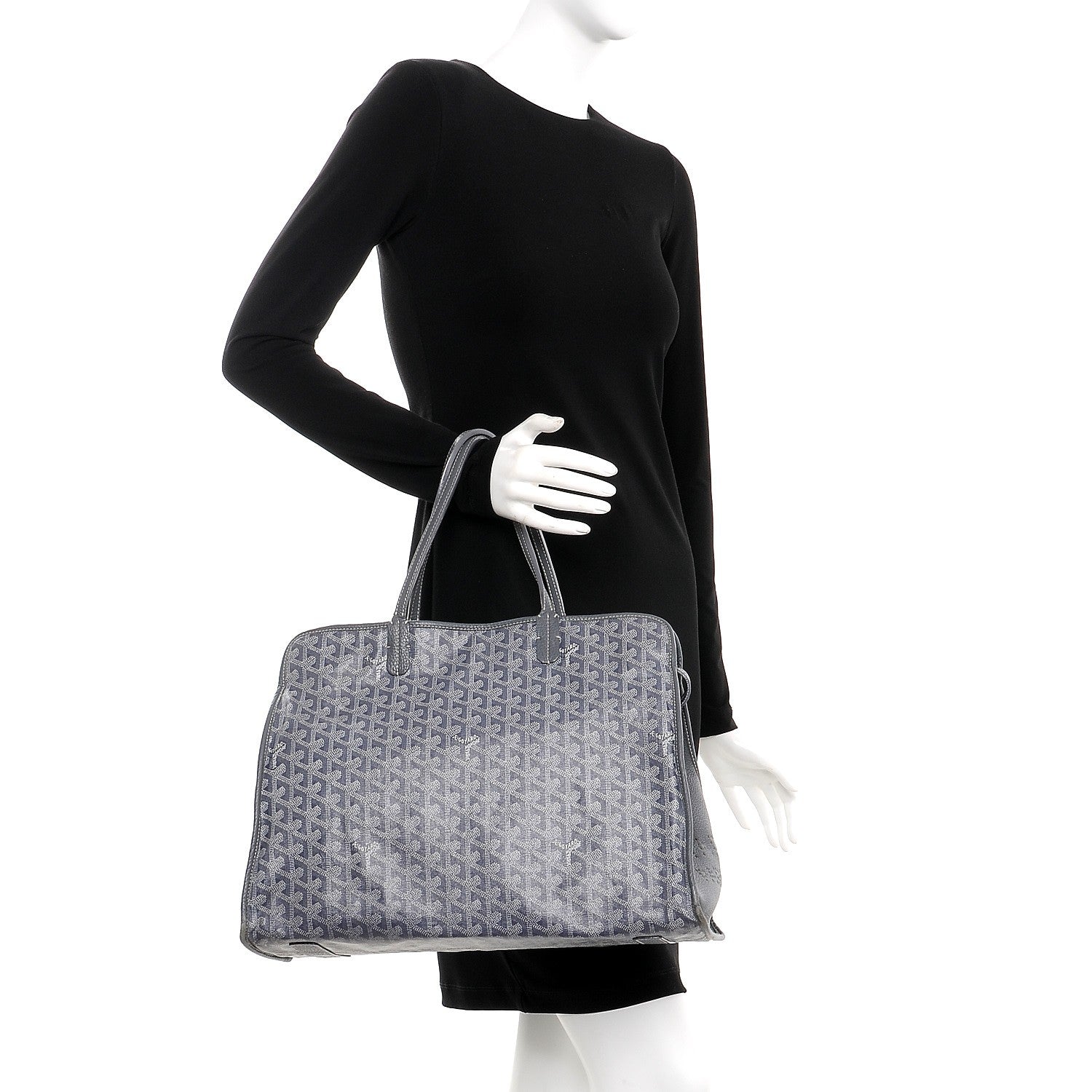 Goyard Goyardine Sac Hardy Pet Carrier PM Grey 2 of 15