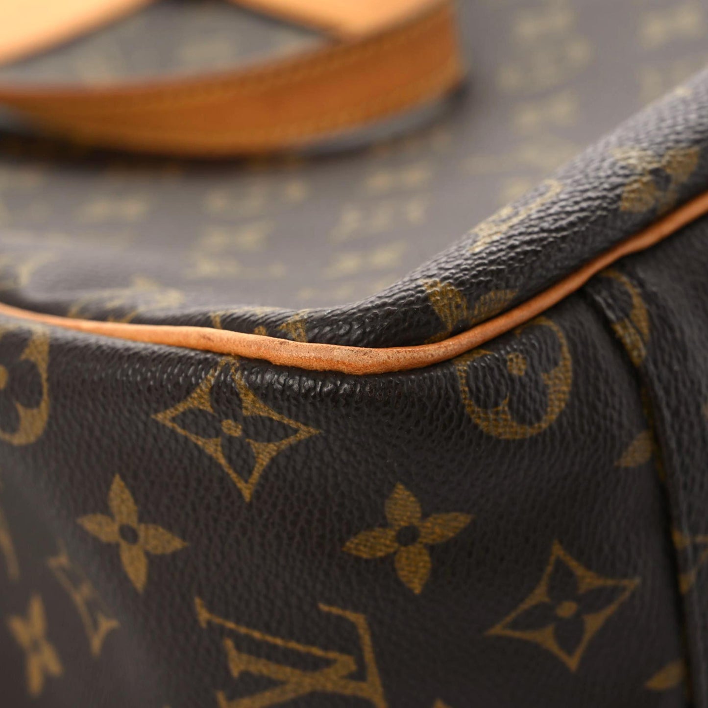 Monogram Excursion Shoe Bag