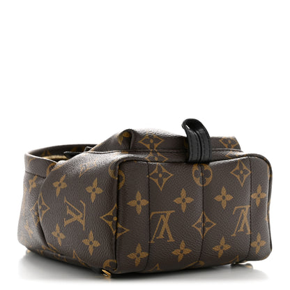 Louis Vuitton Monogram Palm Springs Backpack Mini 4 of 13