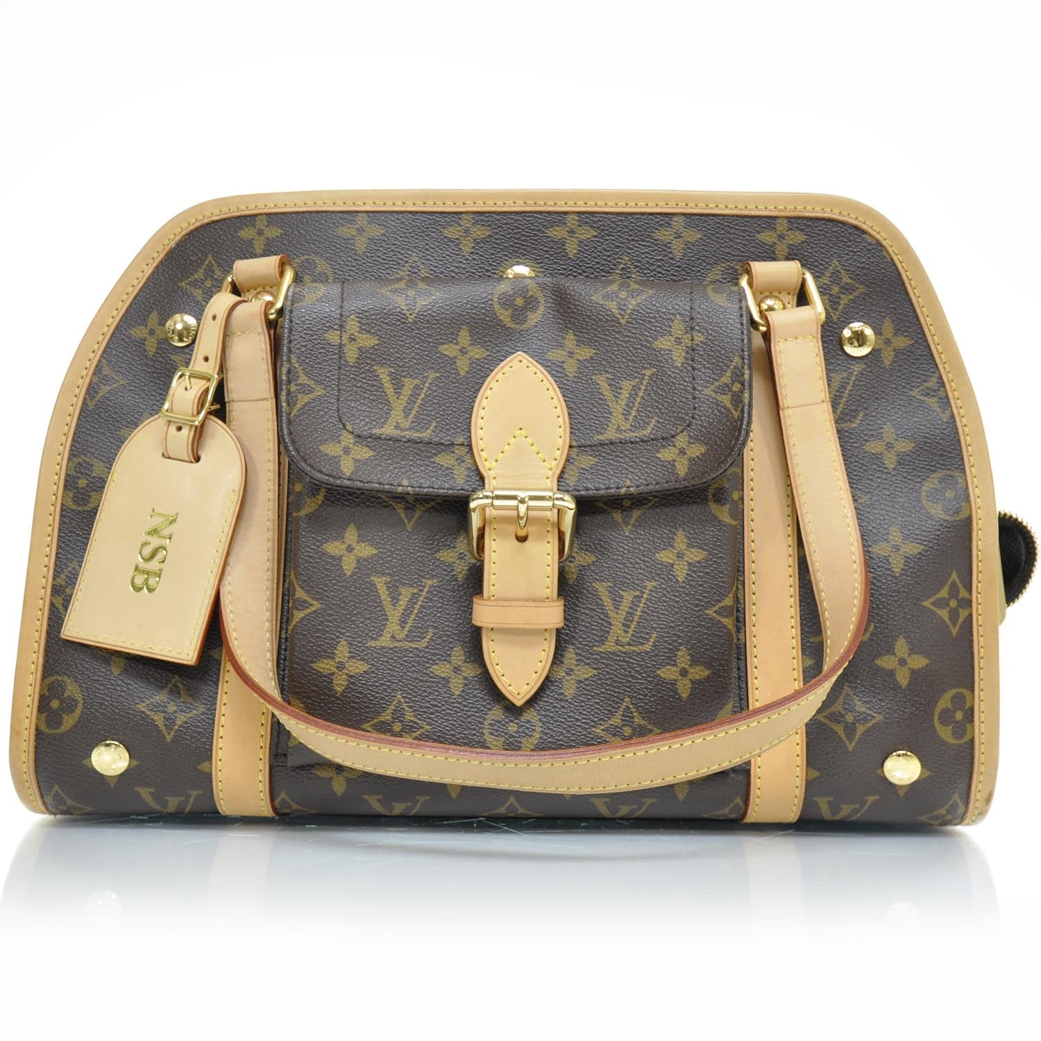 Louis Vuitton Monogram Baxter PM Dog Pet Carrier 1 of 8