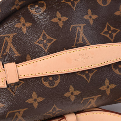 Louis Vuitton Monogram Bumbag 14 of 14
