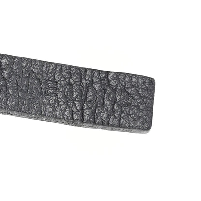 Goyard Goyardine Saint Louis PM Grey 8 of 11