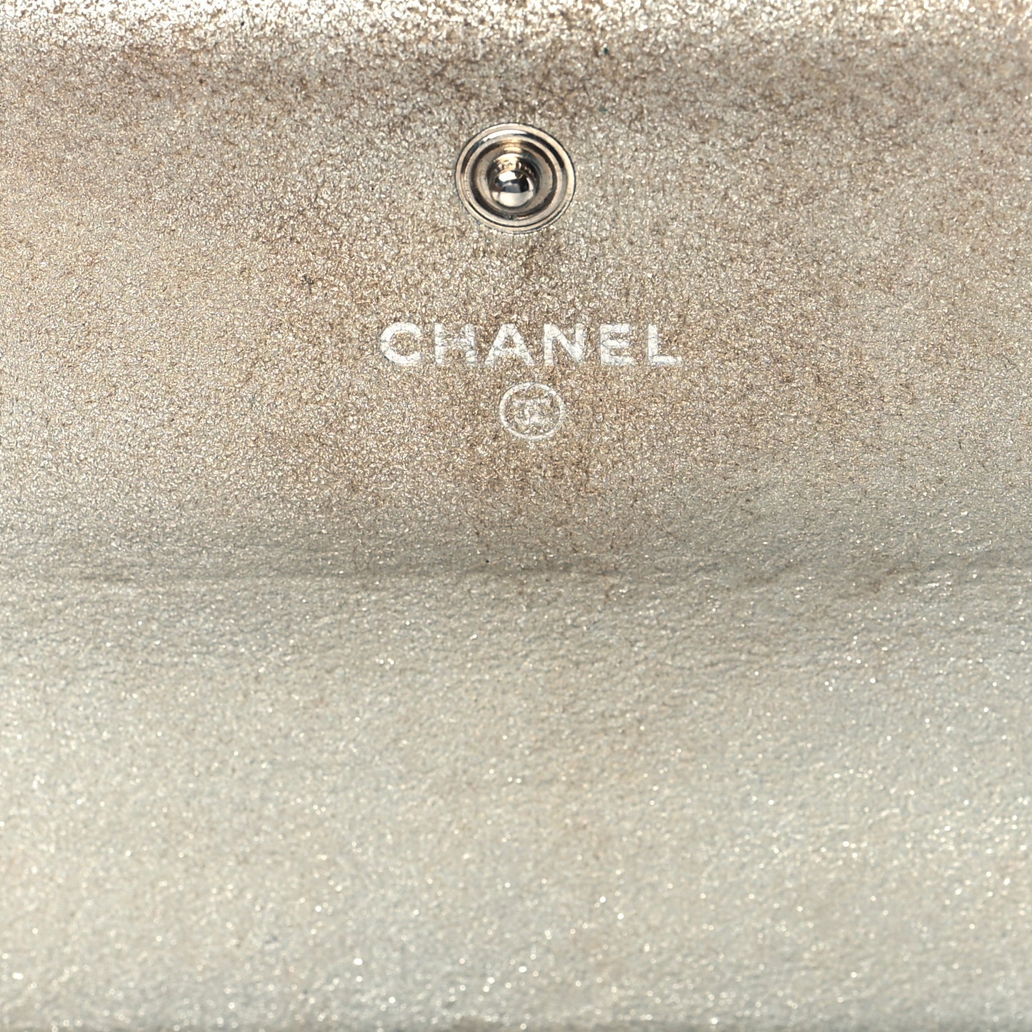 Iridescent Lizard Wallet With Removable Chain Silver