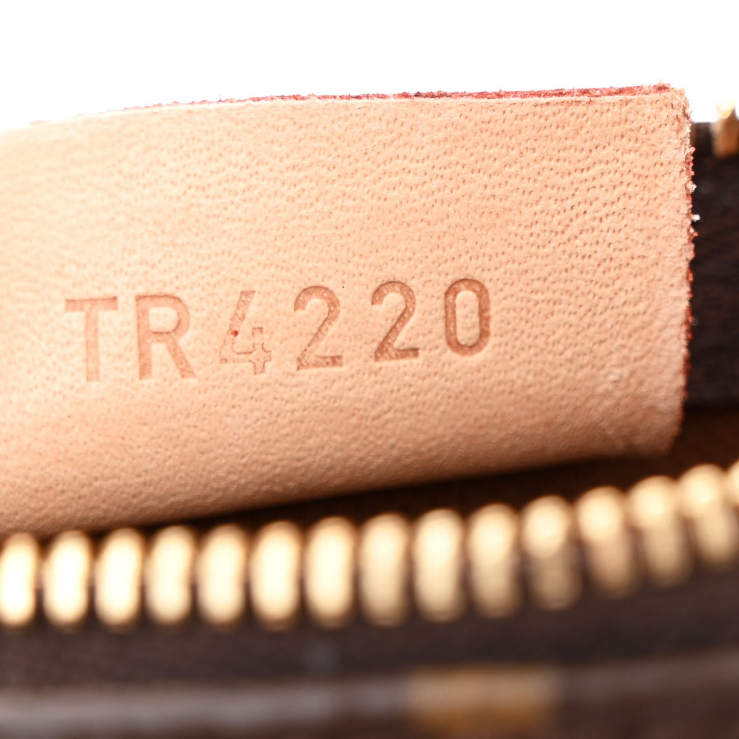 Monogram Nano Speedy