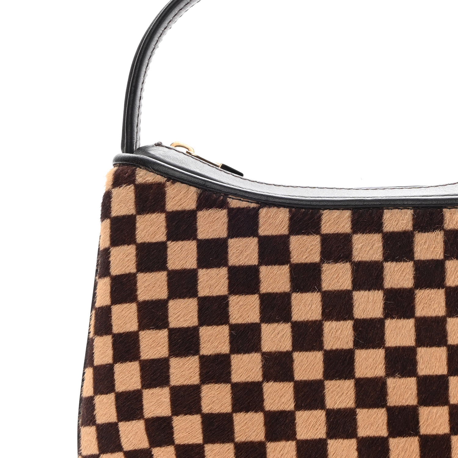 Louis Vuitton Calf Hair Damier Sauvage Tigre 7 of 15