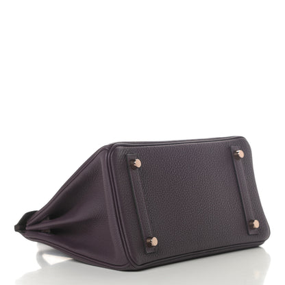 Hermes Togo Matte Alligator Birkin Touch 25 Raisin 4 of 11