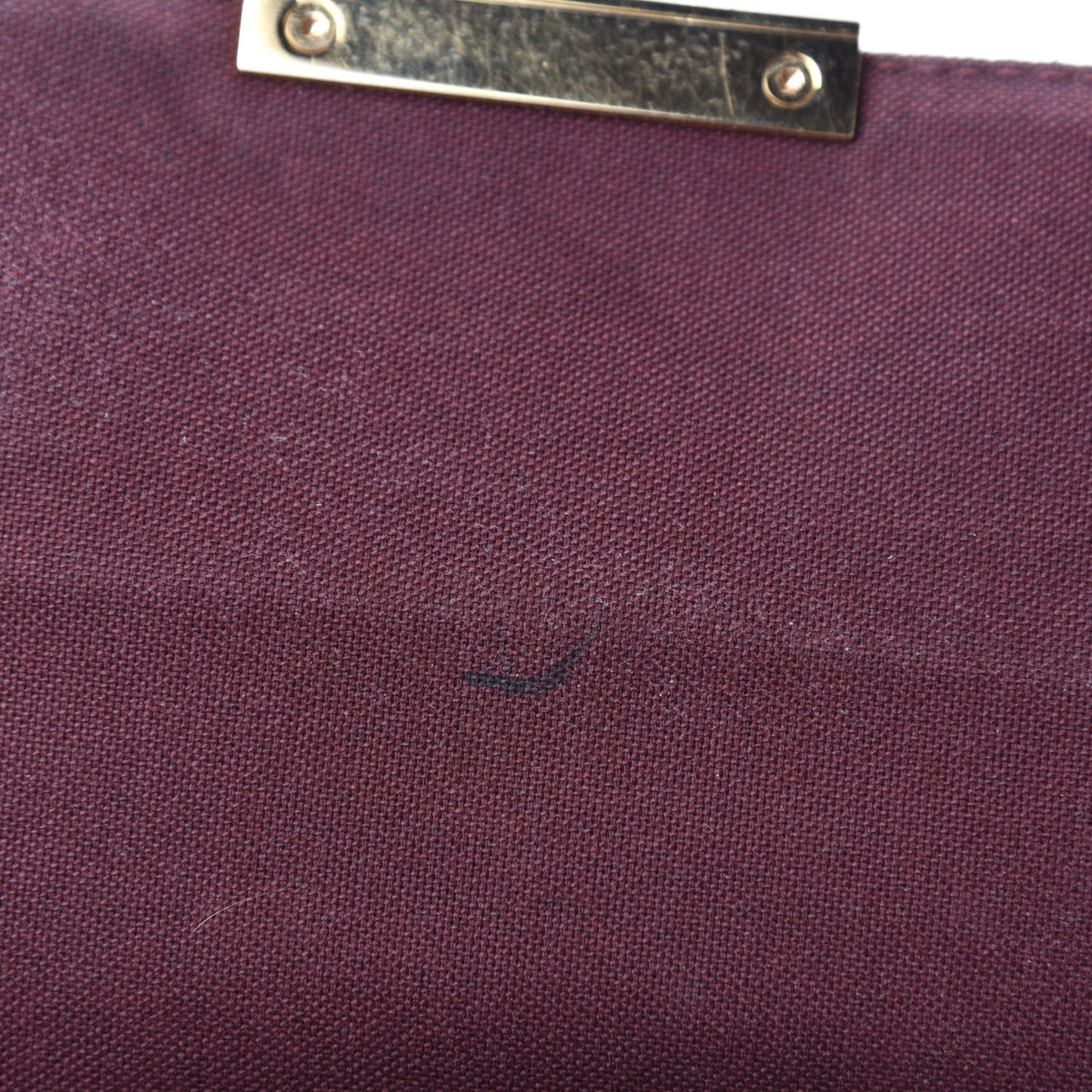 Monogram Favorite PM