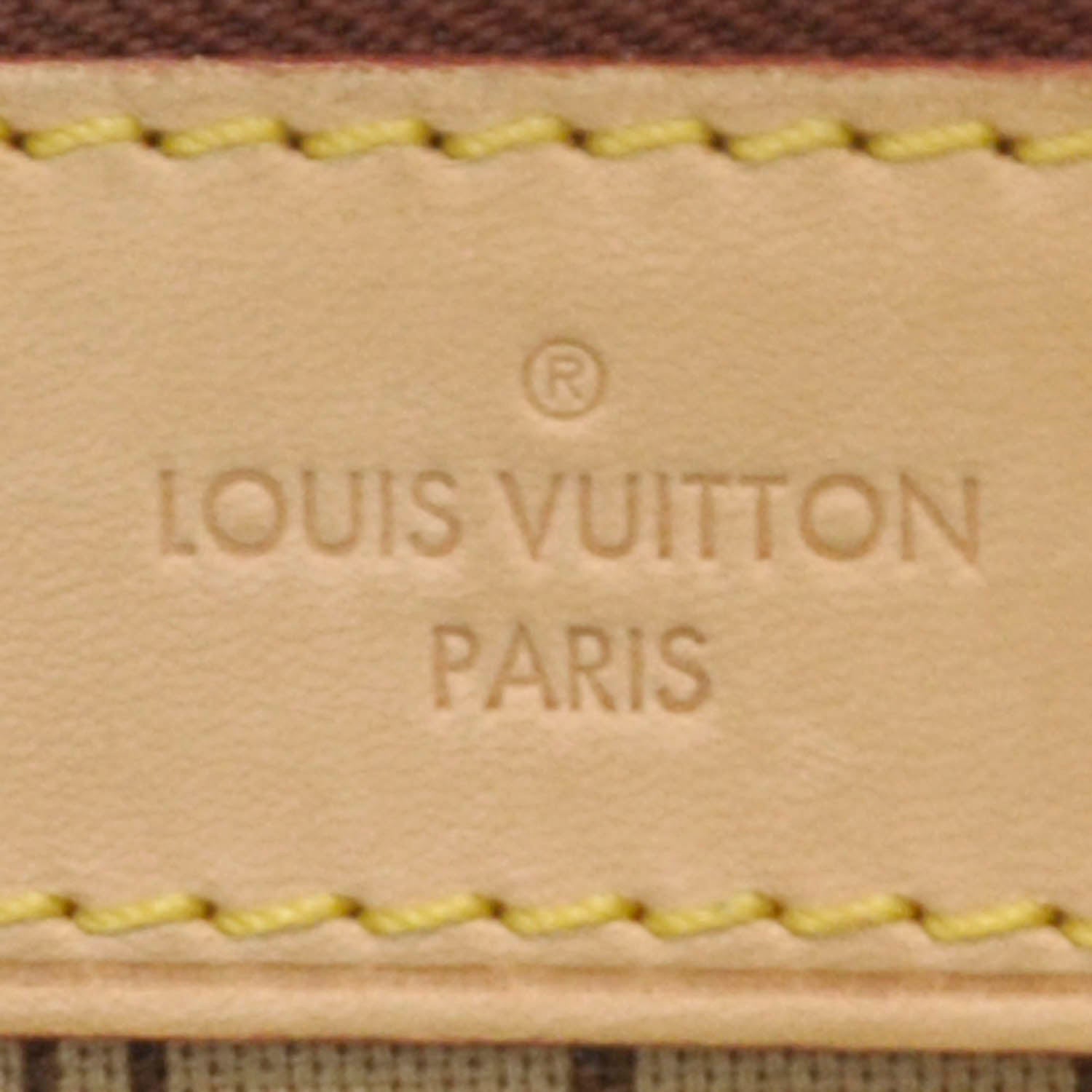 Louis Vuitton Monogram Delightful PM 6 of 10