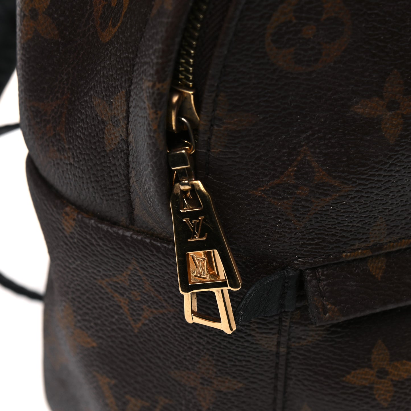 Monogram Palm Springs Backpack PM