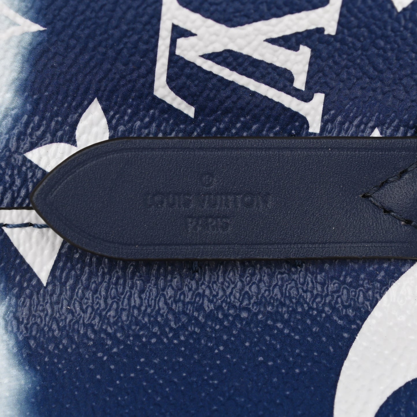 Monogram Escale Neonoe MM Blue