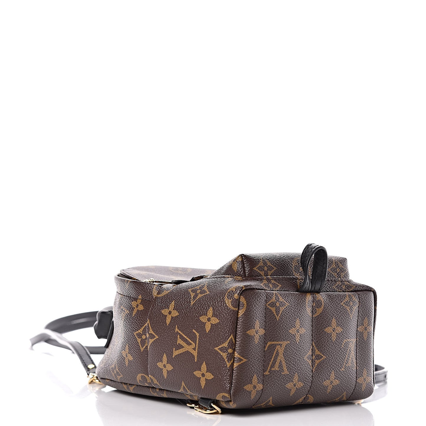 Monogram Palm Springs Backpack Mini