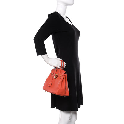 Hermes Togo Birkin 25 Capucine 2 of 11