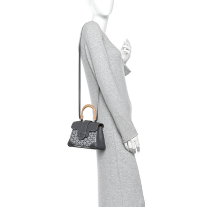 Goyard Goyardine Mini Saigon Grey 2 of 12