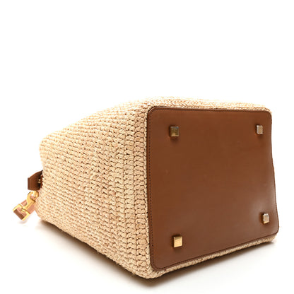 Saint Laurent Raffia Vegetable Le 37 Bucket Bag Naturel Brick 5 of 11