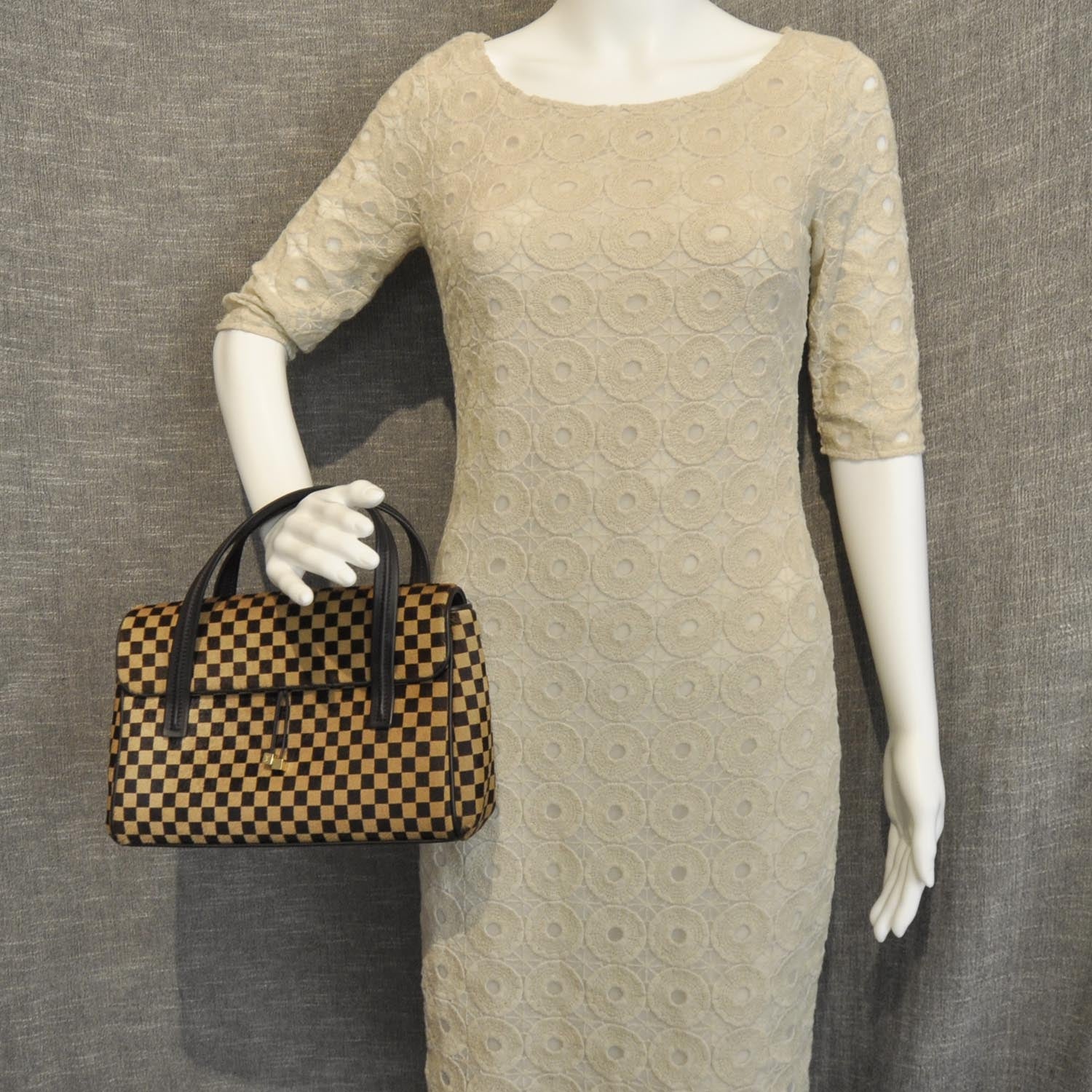 Louis Vuitton Damier Sauvage Lionne 5 of 10