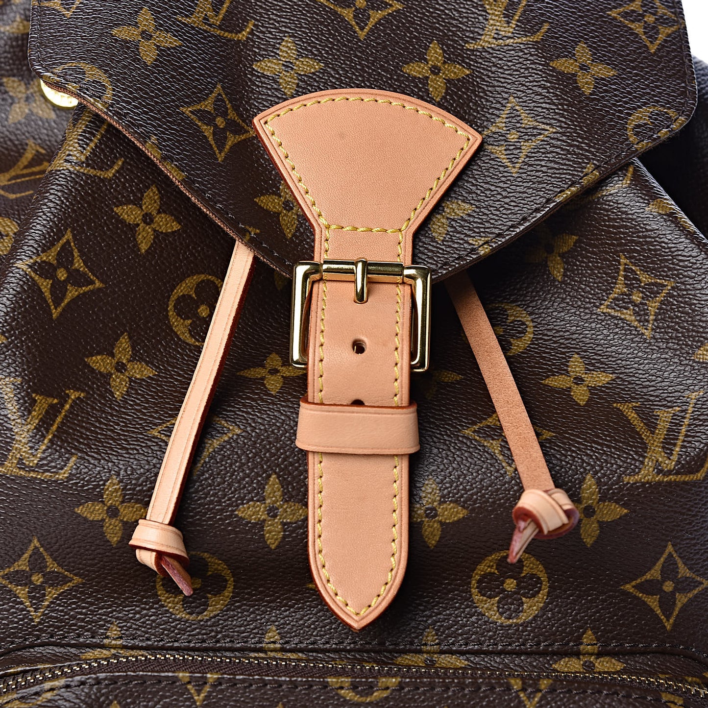 Monogram Montsouris GM Backpack