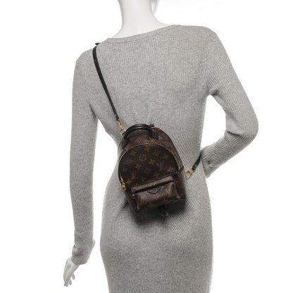 Louis Vuitton Monogram Palm Springs Backpack Mini 2 of 6