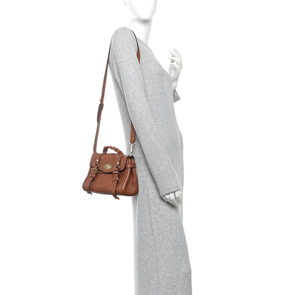 Mulberry Heavy Grain Mini Alexa Chestnut 2 of 9