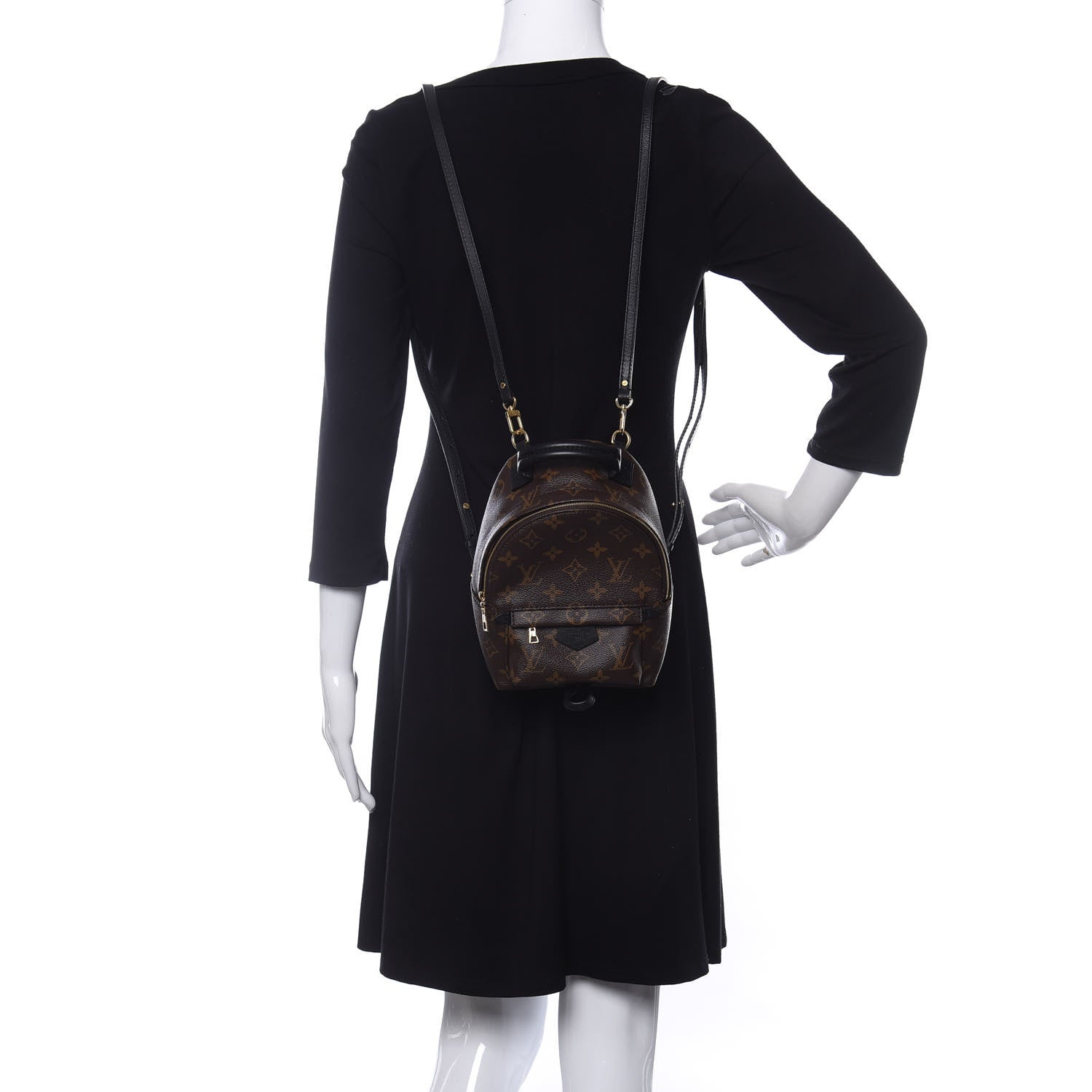 Louis Vuitton Monogram Palm Springs Backpack Mini 2 of 12