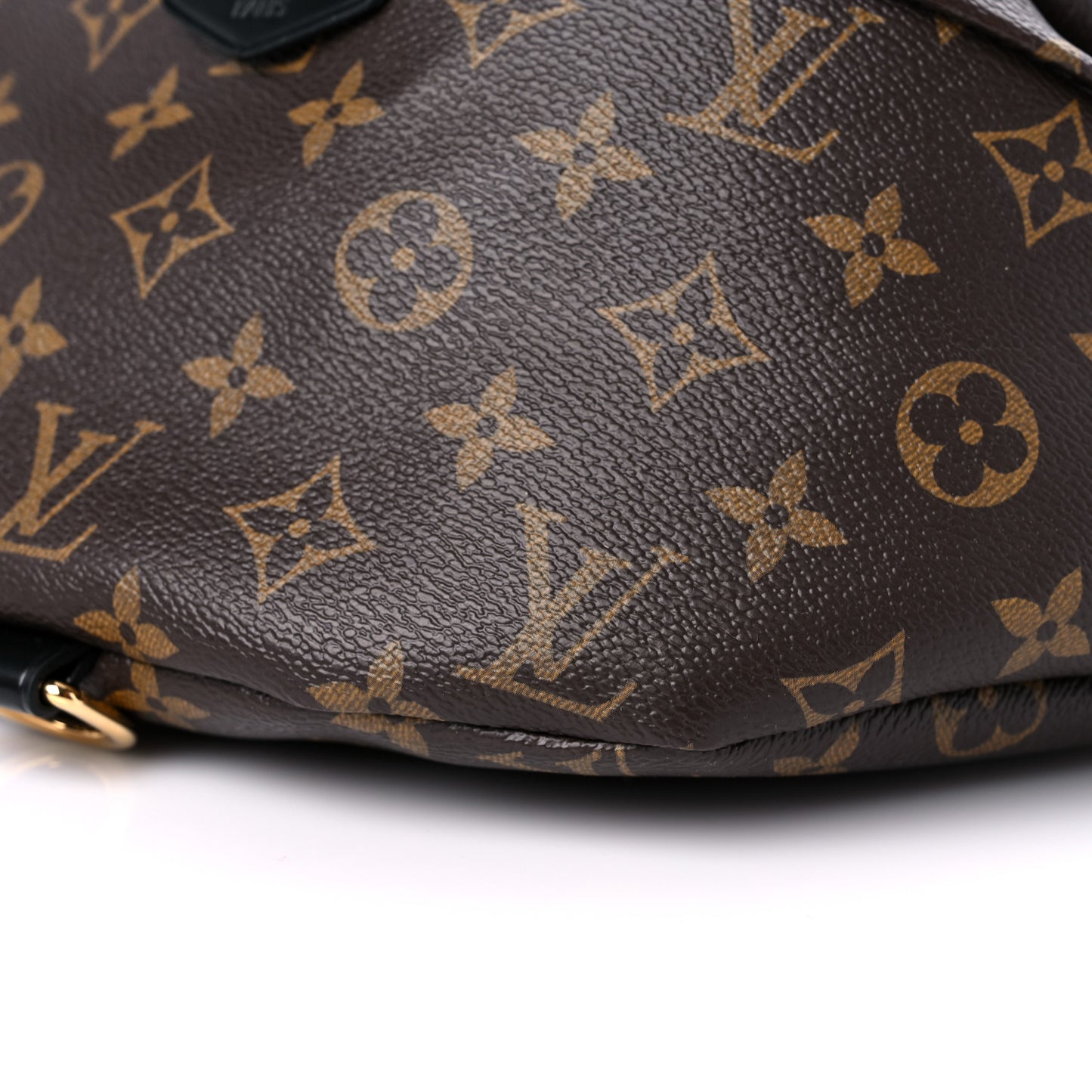 Monogram My LV World Tour Bumbag