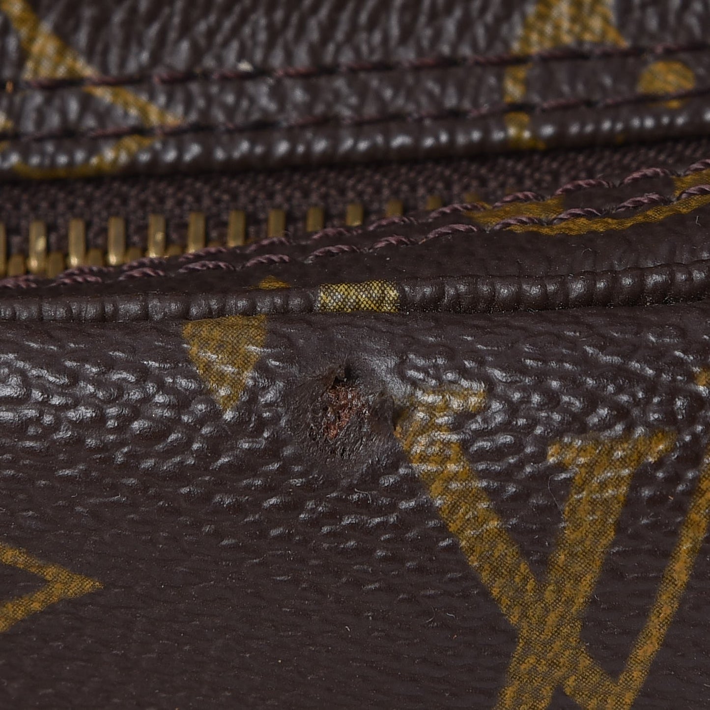 Monogram Montsouris GM Backpack