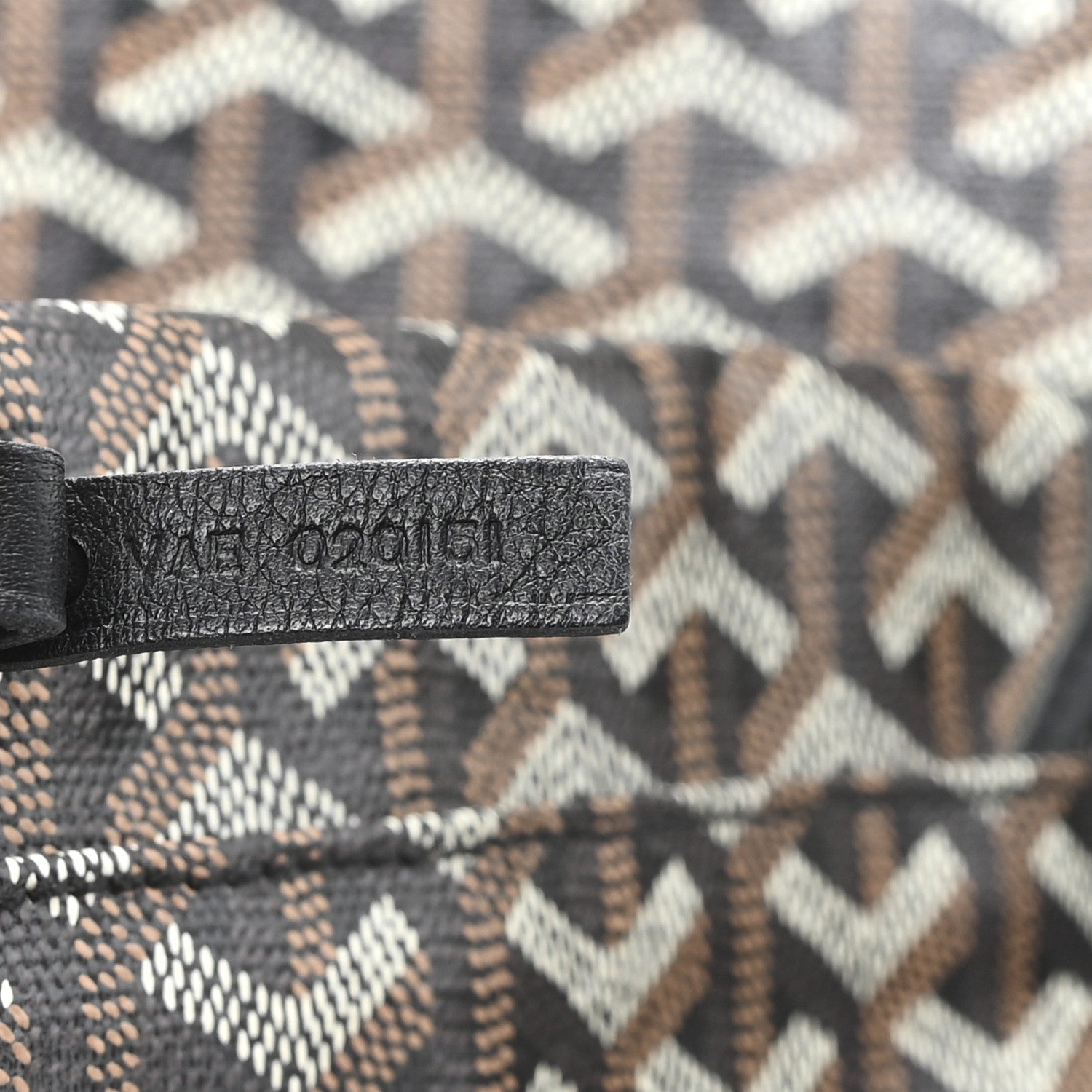 Goyard Goyardine Saint Louis PM Black 8 of 12