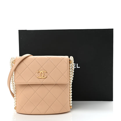 Chanel Calfskin Quilted Pearl Small Hobo Bag Beige 11 of 11
