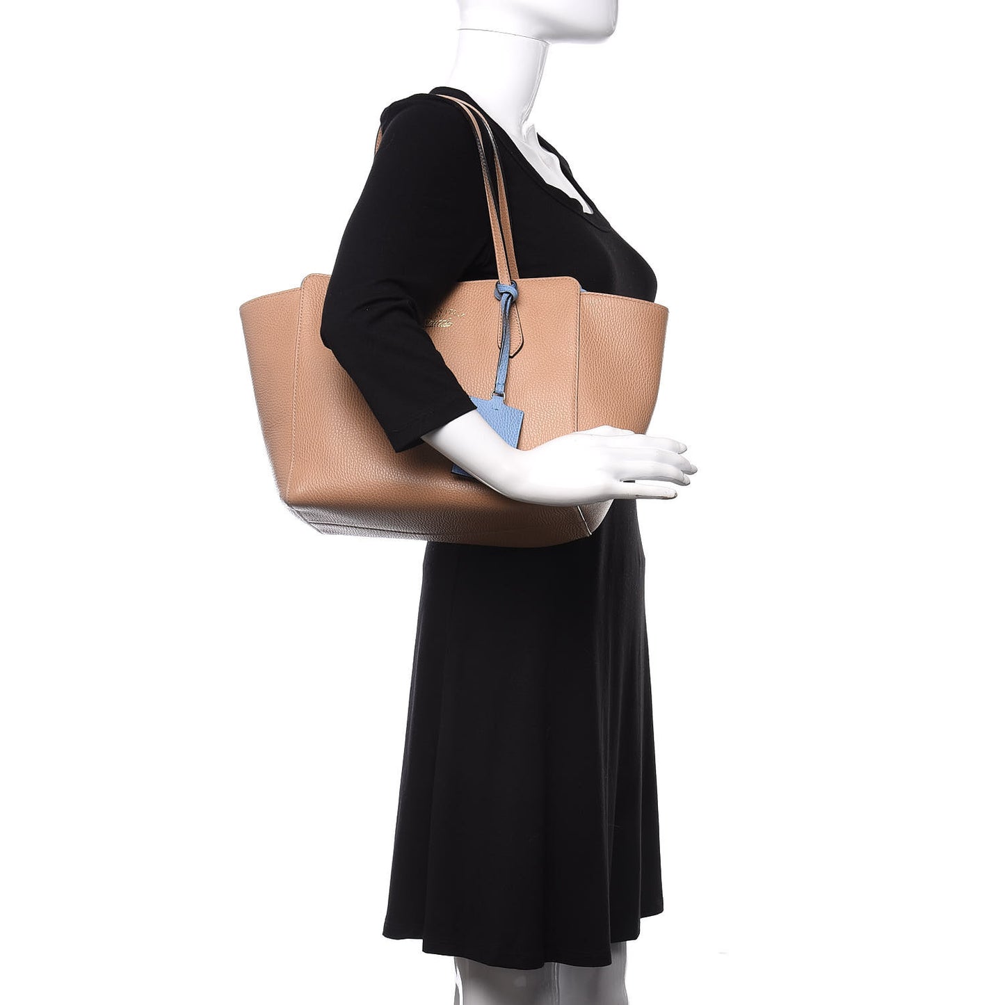Dollar Calfskin Medium Swing Tote Camelia Mineral Blue